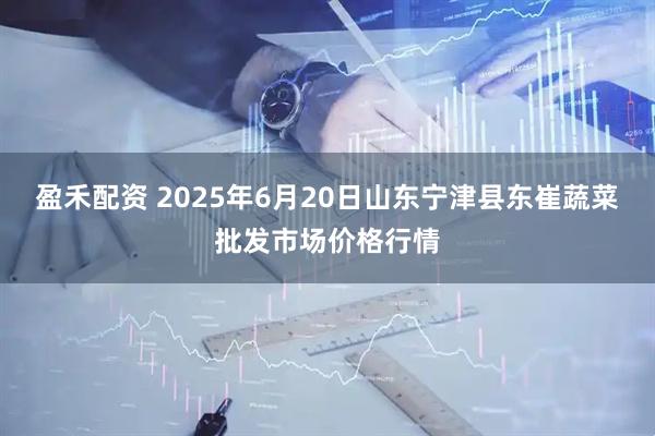 盈禾配资 2025年6月20日山东宁津县东崔蔬菜批发市场价格行情